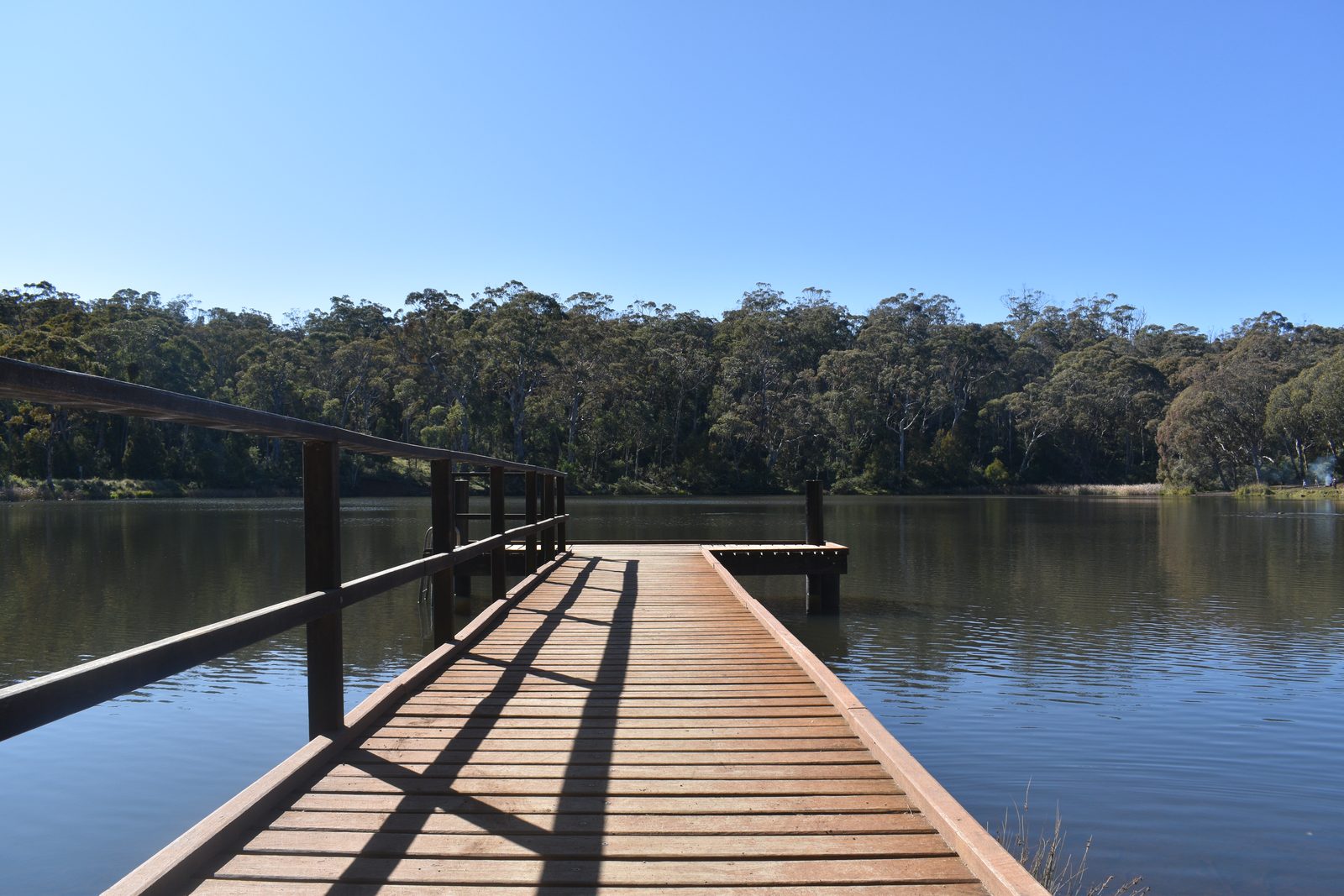 Wooden jetty extending over a calm Australian lake, eucalyptus forest on the far shore under clear blue sky