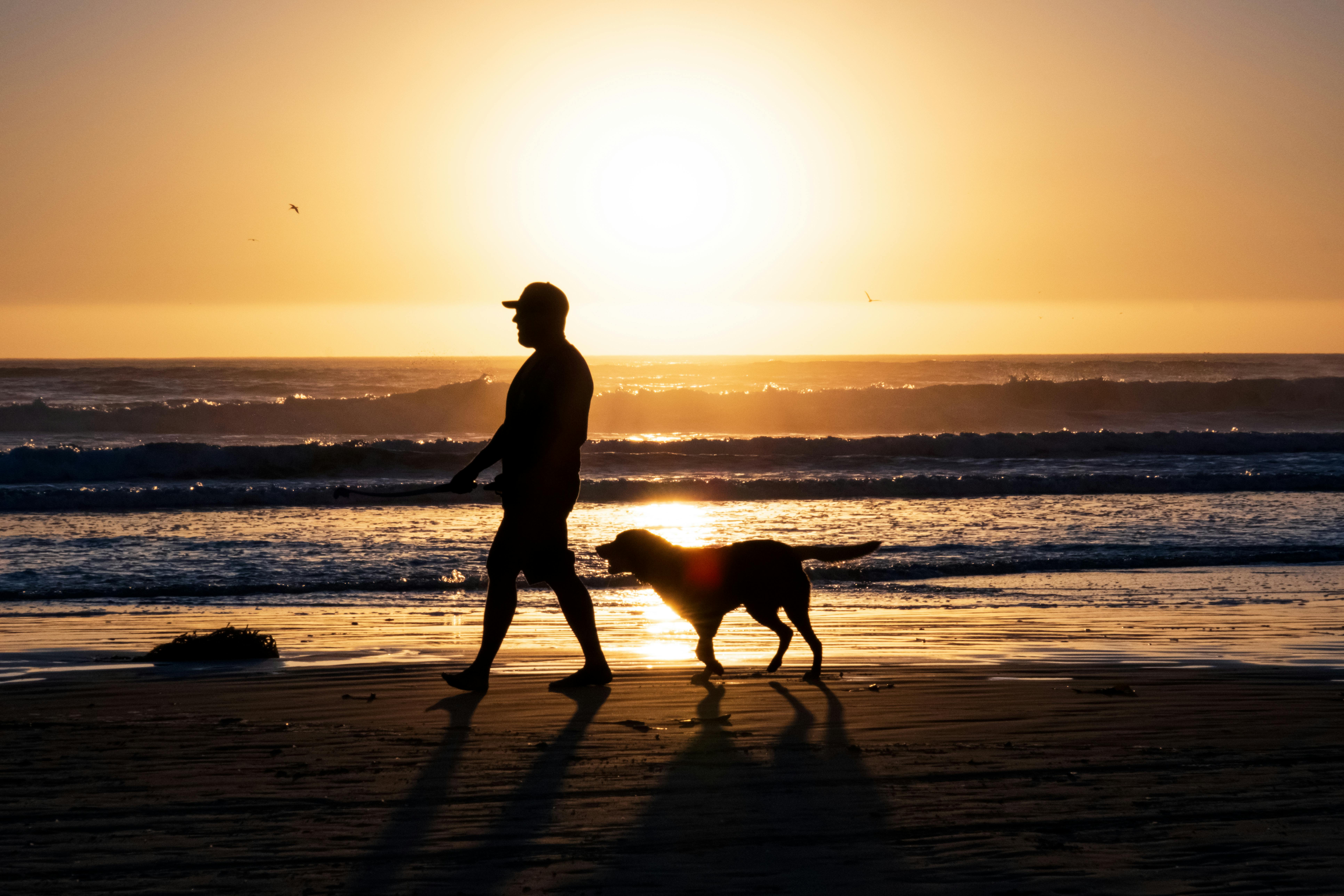 A veteran walks his Labrador along the beach at sunset